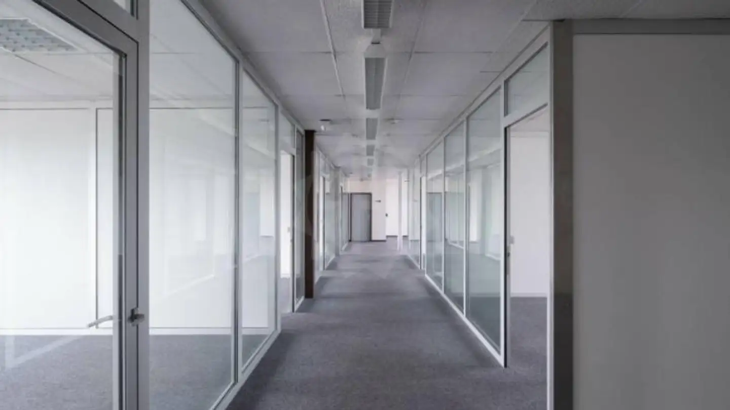 Bürofläche mieten - Route De Meyrin, 1217 Meyrin - Foto 2