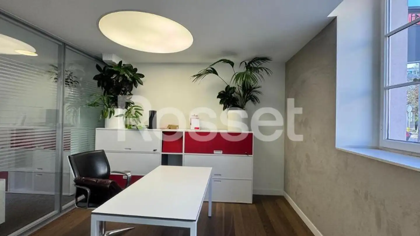 Shop for rent - Rue Du Pont-Neuf 15, 1227 Carouge GE - Photo 4