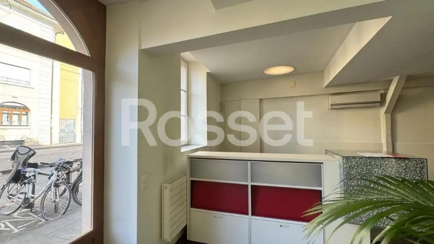 Shop for rent - Rue Du Pont-Neuf 15, 1227 Carouge GE - Photo 3