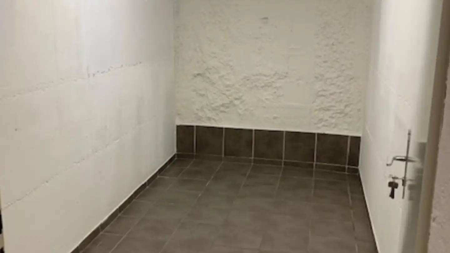 Commercial for rent - Rue Du Gothard 15, 1225 Chêne-Bourg