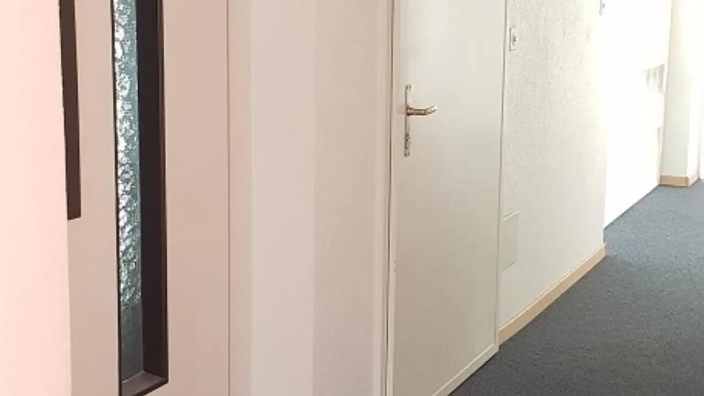 Commerciale in affitto - Rue De La Molière 19, 2800 Delémont - Foto 4