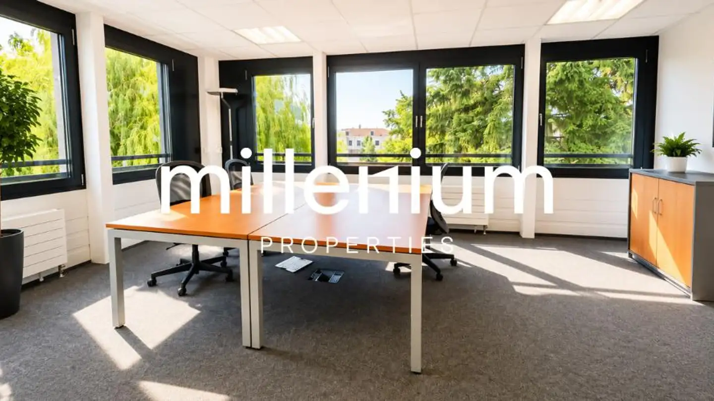 Spazio ufficio in affitto - Route De Meyrin, 1217 Meyrin - Foto 3