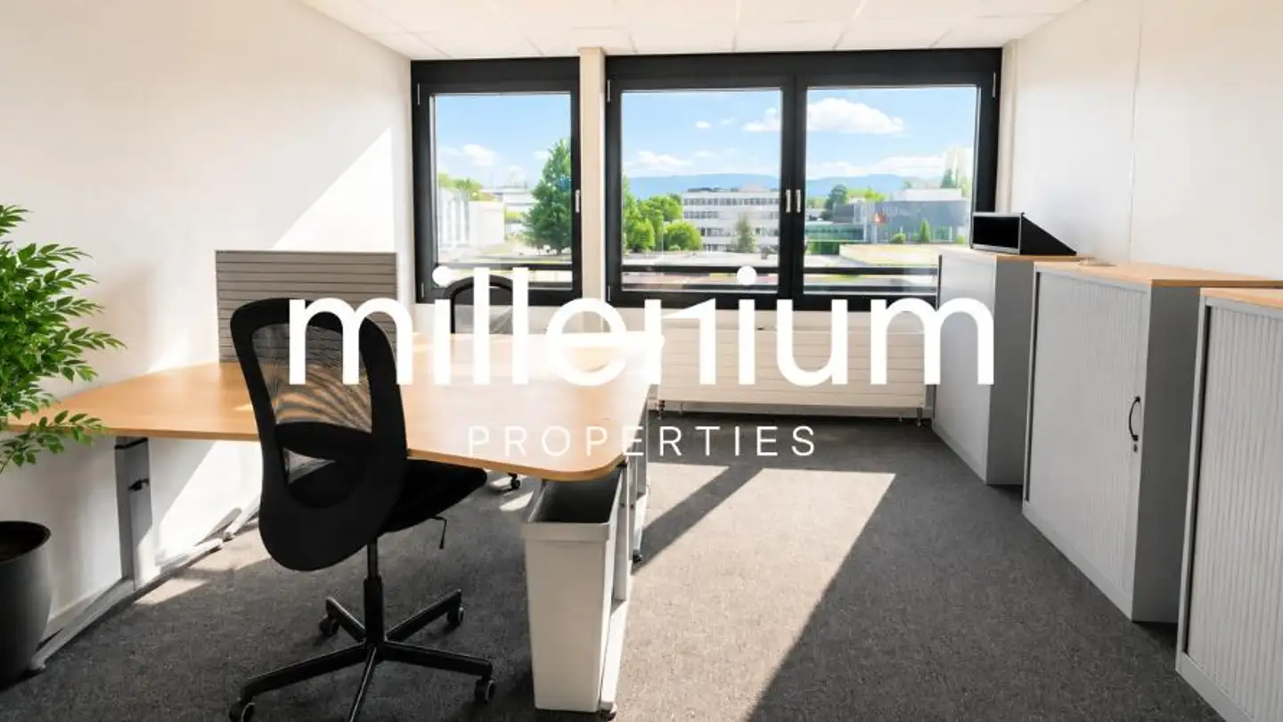 Spazio ufficio in affitto - Route De Meyrin, 1217 Meyrin - Foto 4