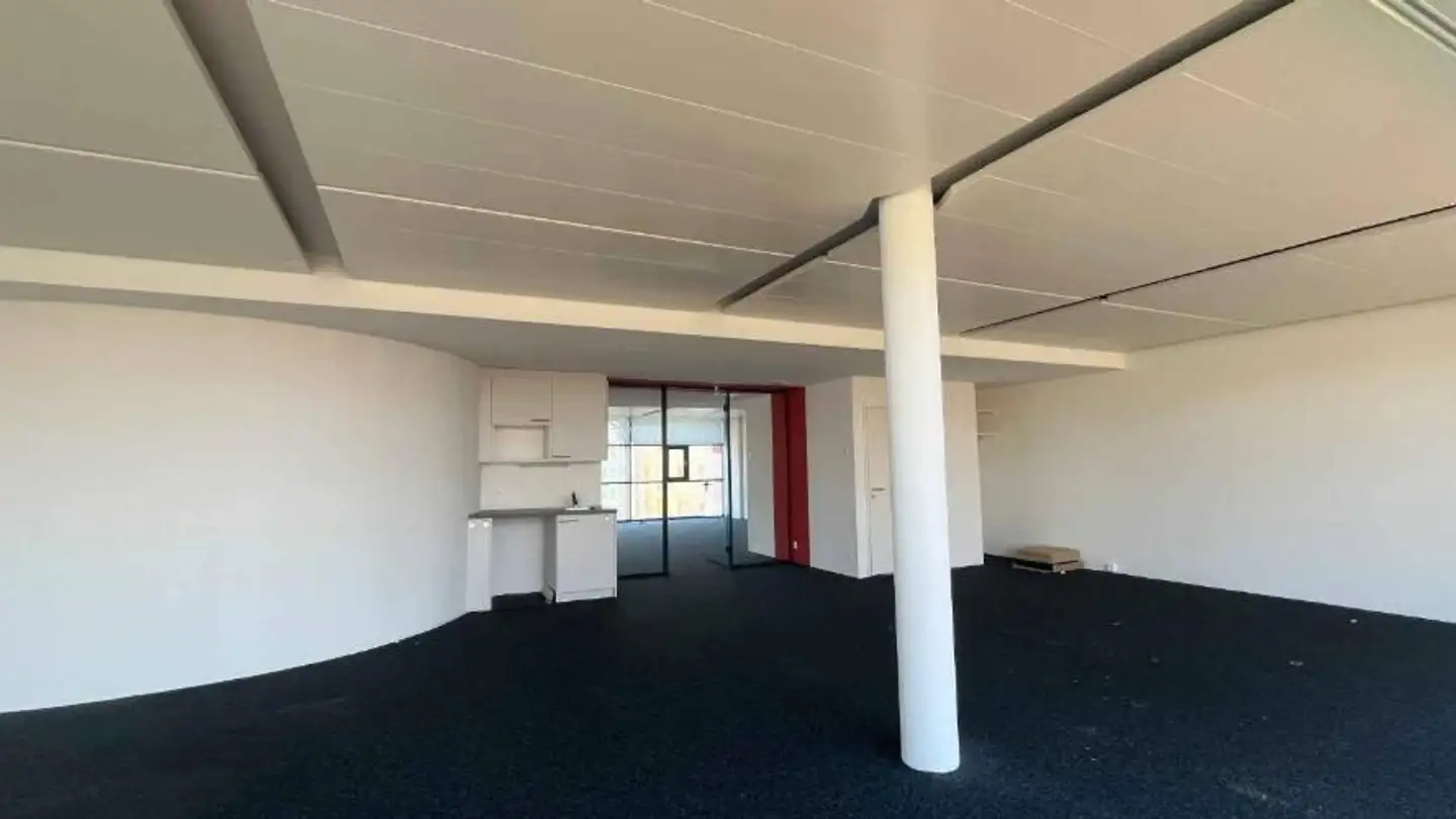 Office space for rent - Chemin Du Curé- Desclouds 2, 1226 Thônex - Photo 4