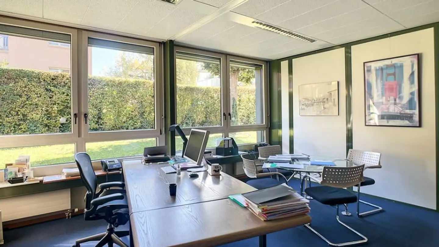 Office space for rent - Chemin Des Plantaz 46, 1260 Nyon - Photo 4