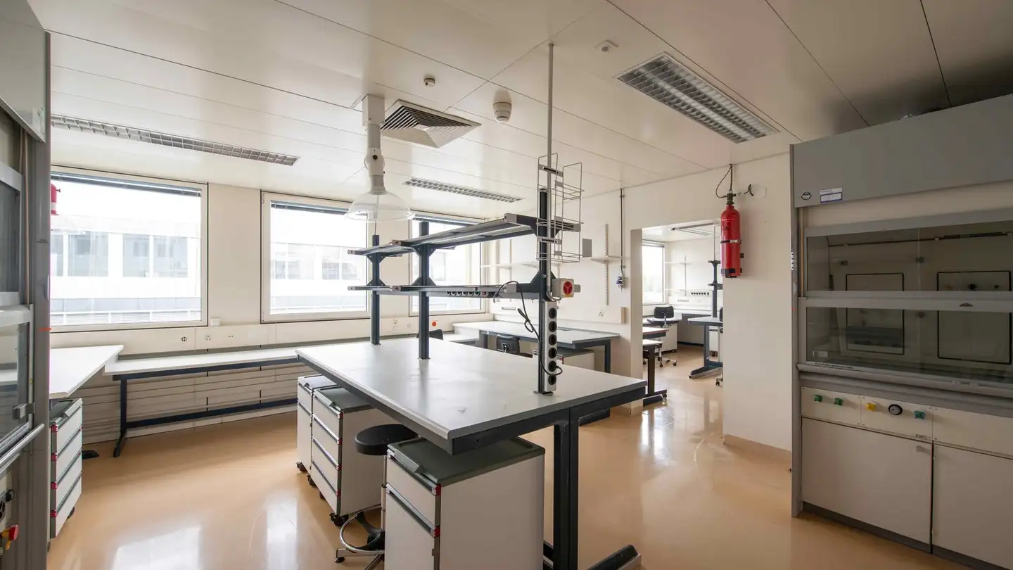 Commercial for rent - Chemin Des Aulx 14, 1228 Plan-les-Ouates