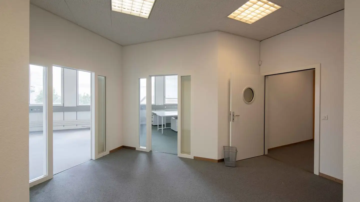 Gewerbe mieten - Chemin Des Aulx 18, 1228 Plan-les-Ouates