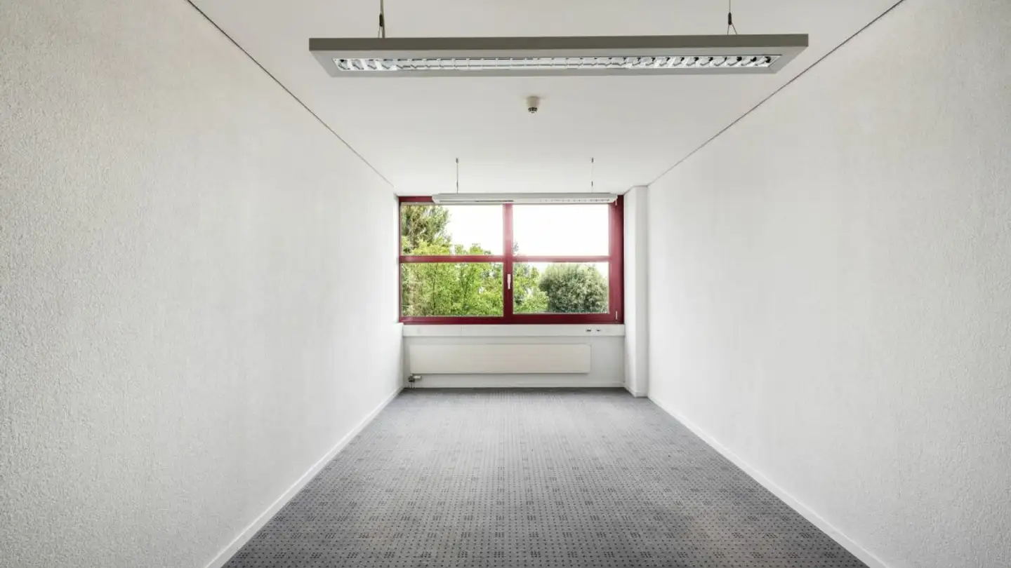 Bureau à louer - Hauptstrasse 104, 9422 Staad SG - Photo 3