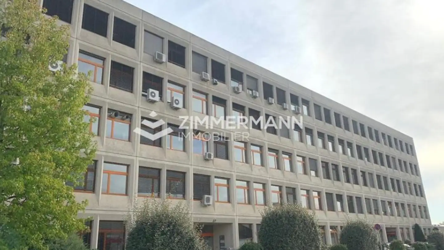 Commercial for rent - Rue Du Pré-Bouvier, 1242 Satigny