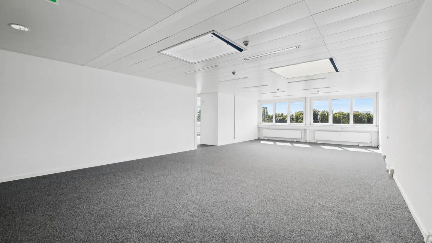 Spazio ufficio in affitto - Gewerbestrasse 24, 4123 Allschwil - Foto 4