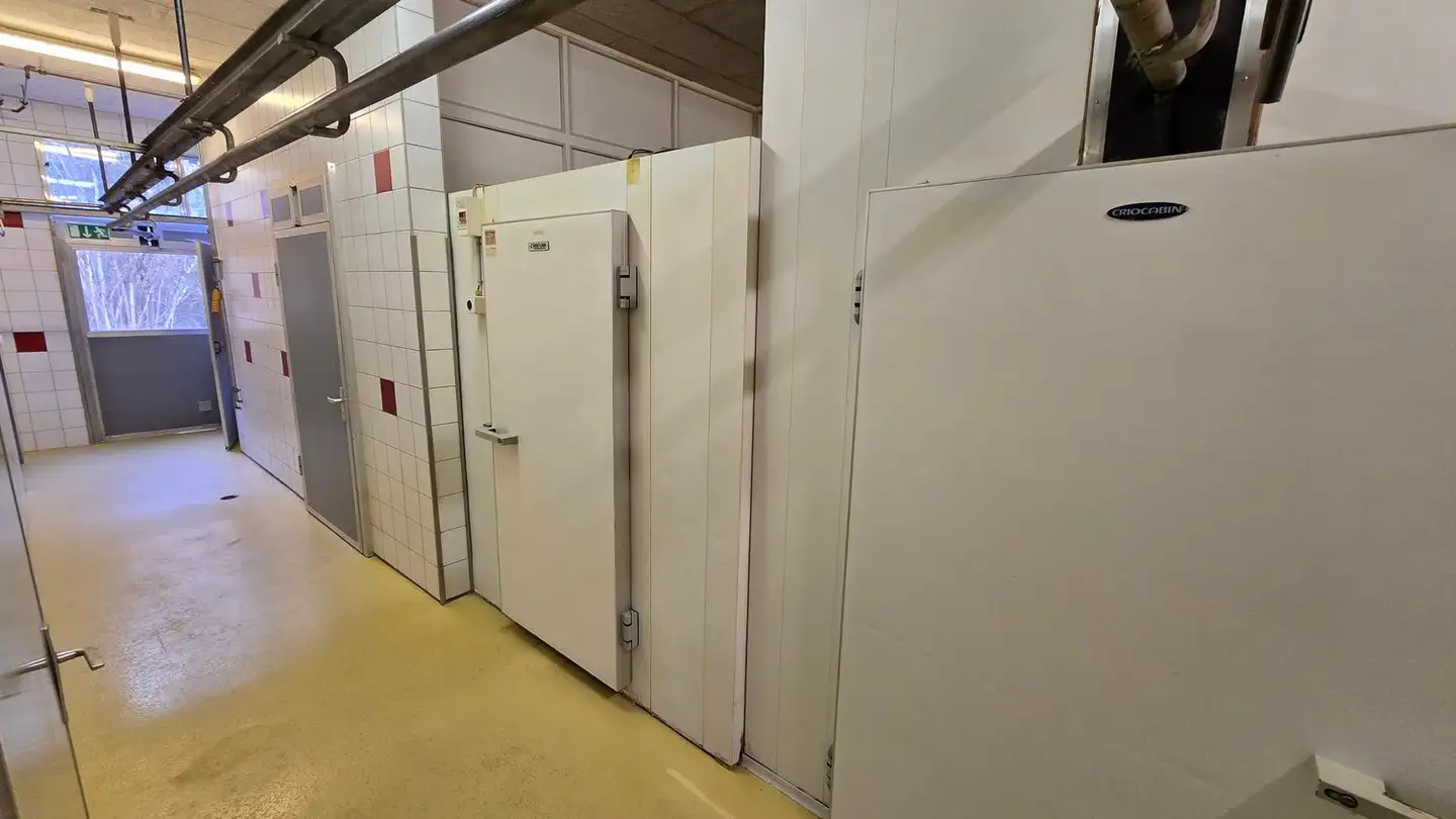 Commercial à louer - Mühlemattstrasse 39, 3178 Bösingen - Photo 3