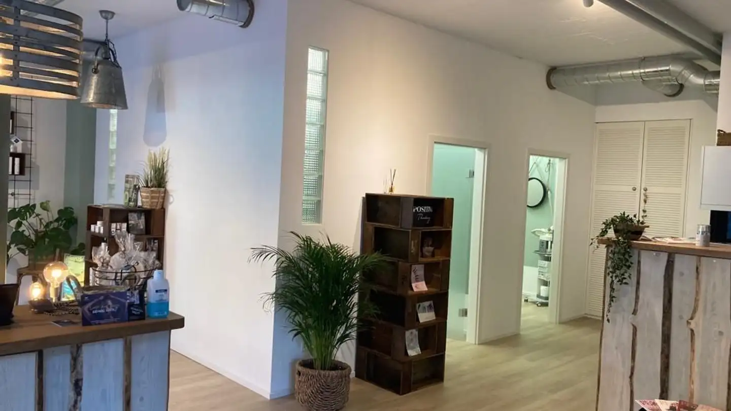 Commerciale in affitto - Zur Stahlgiesserei 7, 8200 Schaffhausen - Foto 4