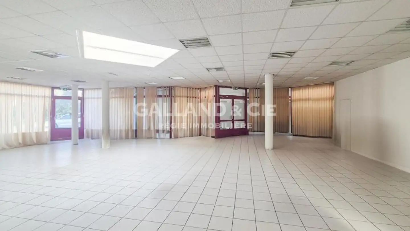 Commerciale in affitto - Rue de l'Industrie 19, 1023 Crissier