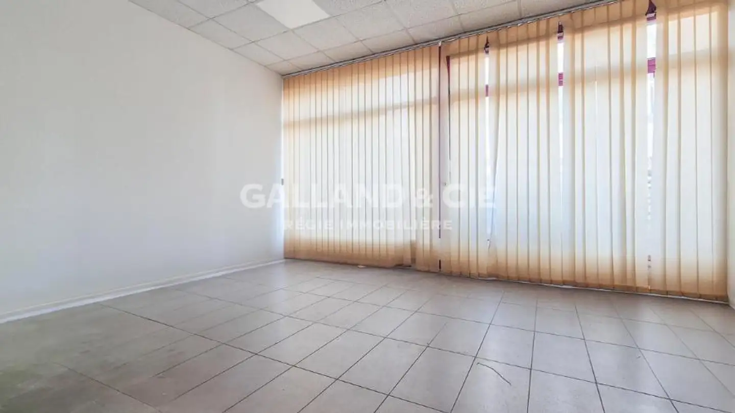 Gewerbe mieten - Rue de l'Industrie 19, 1023 Crissier