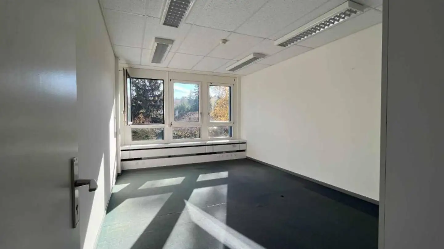 Bürofläche mieten - Impasse Colombelle 8, 1218 Le Grand-Saconnex - Foto 3