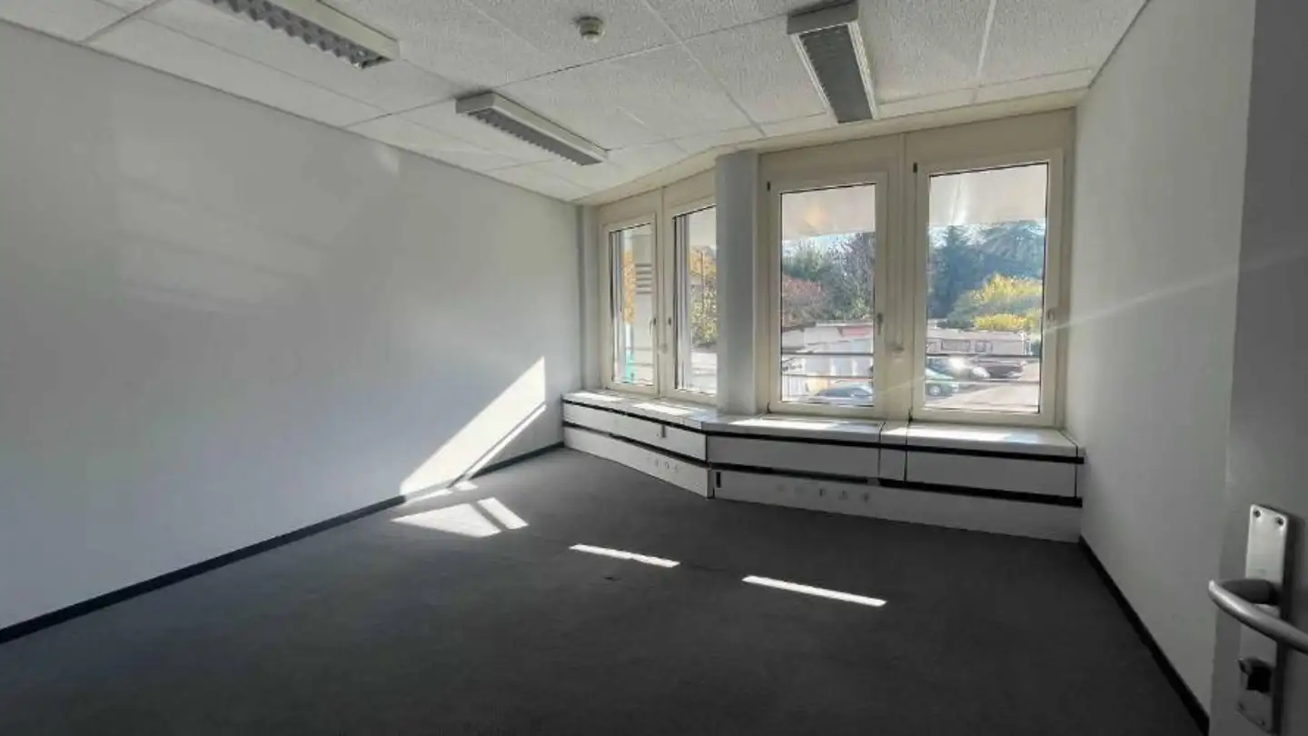 Office space for rent - Impasse Colombelle 8, 1218 Le Grand-Saconnex - Photo 4