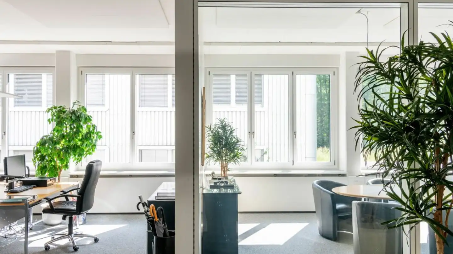 Spazio ufficio in affitto - Oberstrasse 153, 9000 St. Gallen