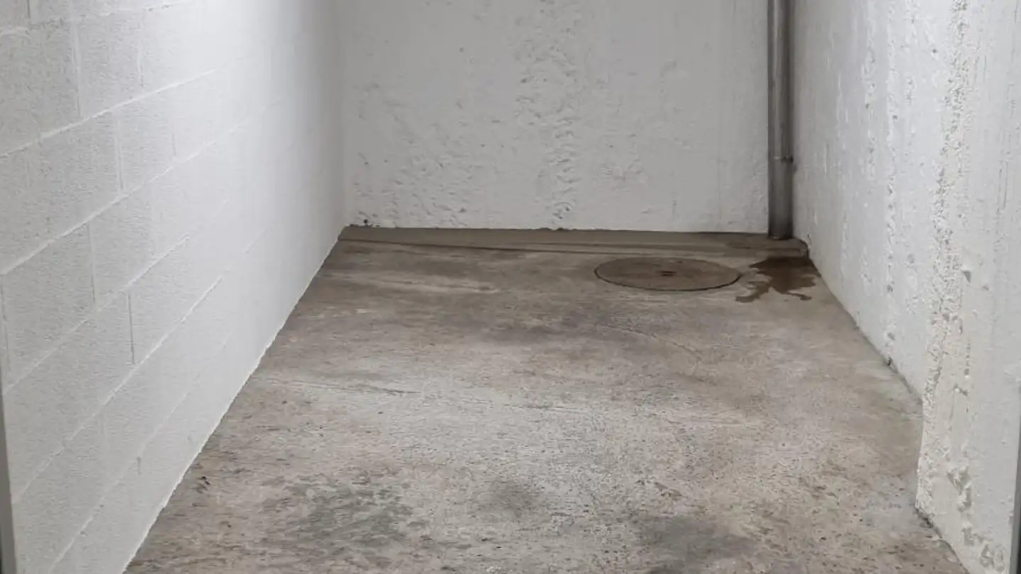 Storage space for rent - Rue Du Gothard 15, 1225 Chêne-Bourg - Photo 4