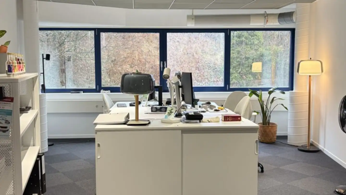 Office space for rent - Chemin Du Trabandan 28, 1006 Lausanne - Photo 4