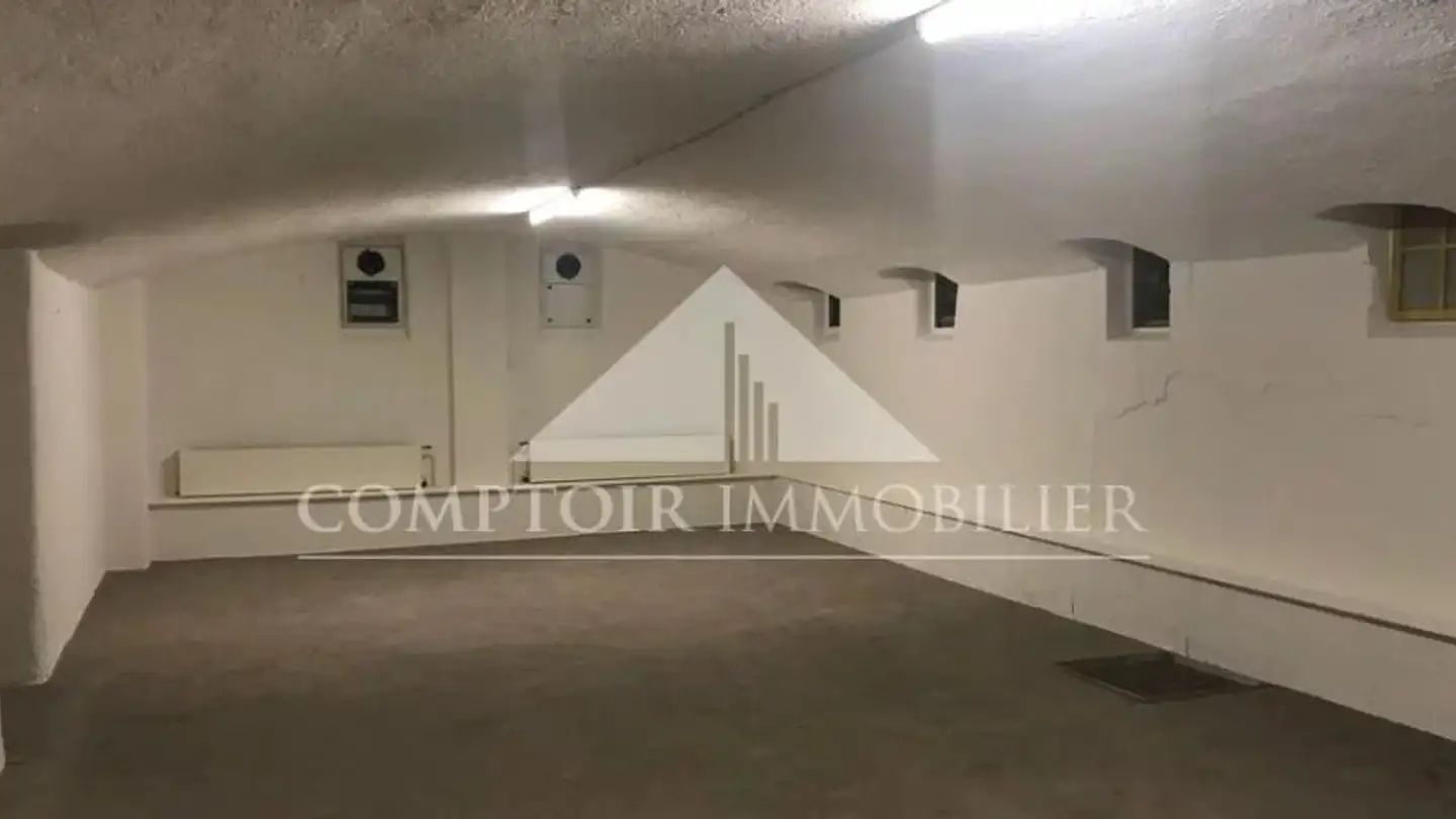 Commerciale in affitto - Rue Du Mont-Blanc 16, 1201 Genève - Foto 2