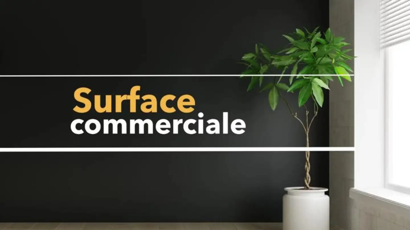 Commercial for rent - 3960 Sierre - Photo 4
