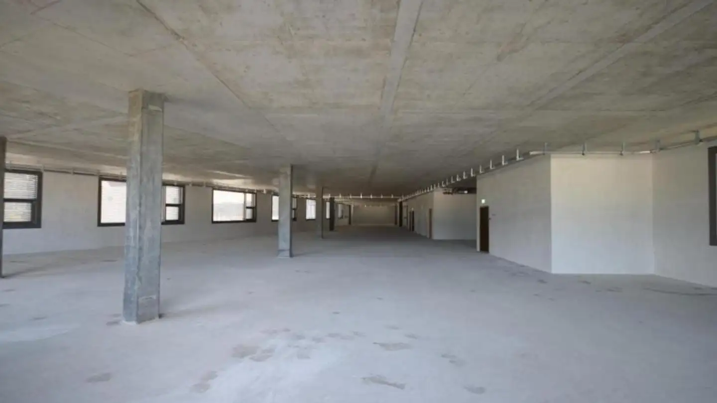 Commercial for rent - Rue De La Bergère 3c, 1217 Meyrin - Photo 4