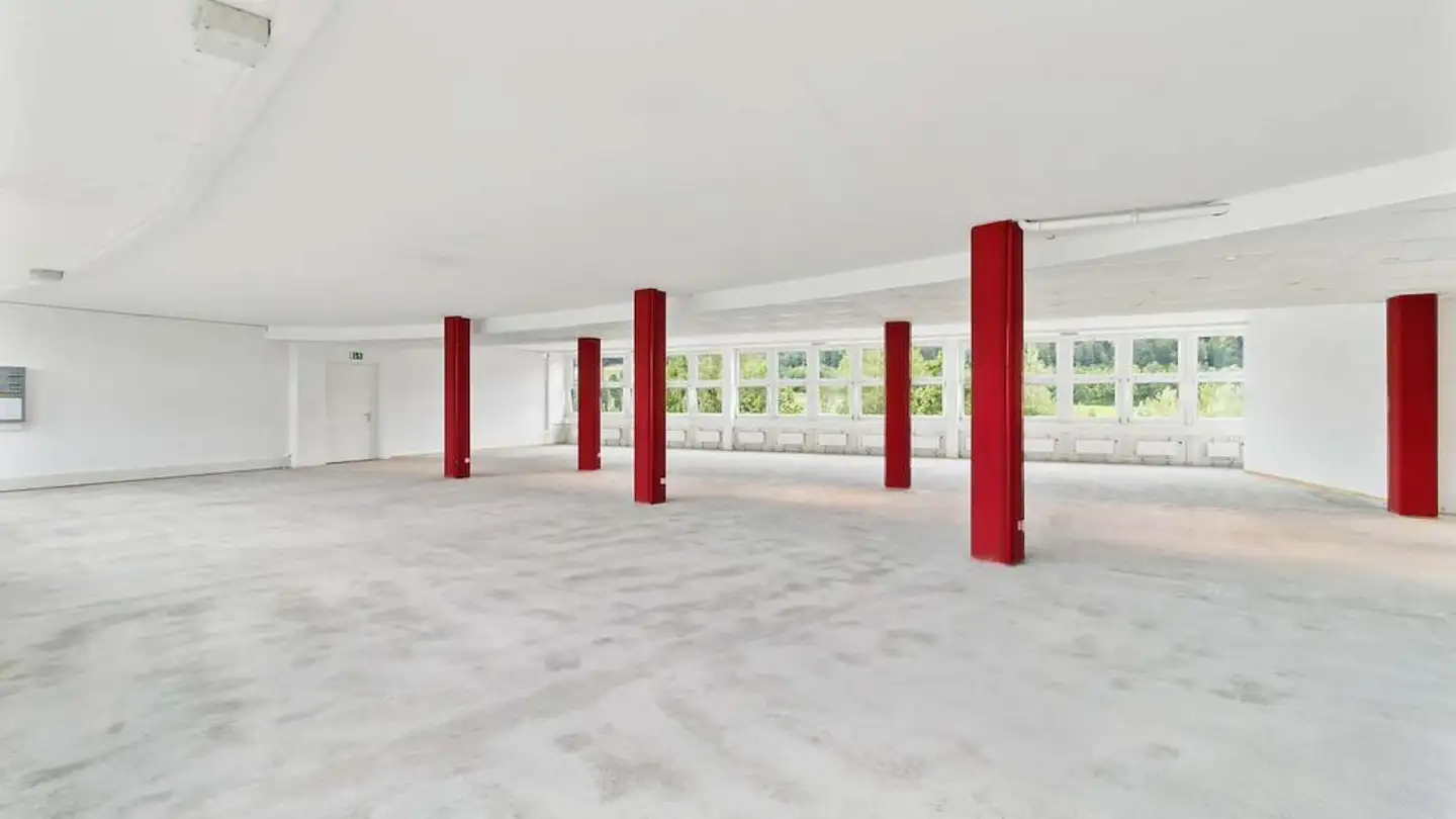 Bureau à louer - Birmensdorferstrasse 87, 8902 Urdorf - Photo 2