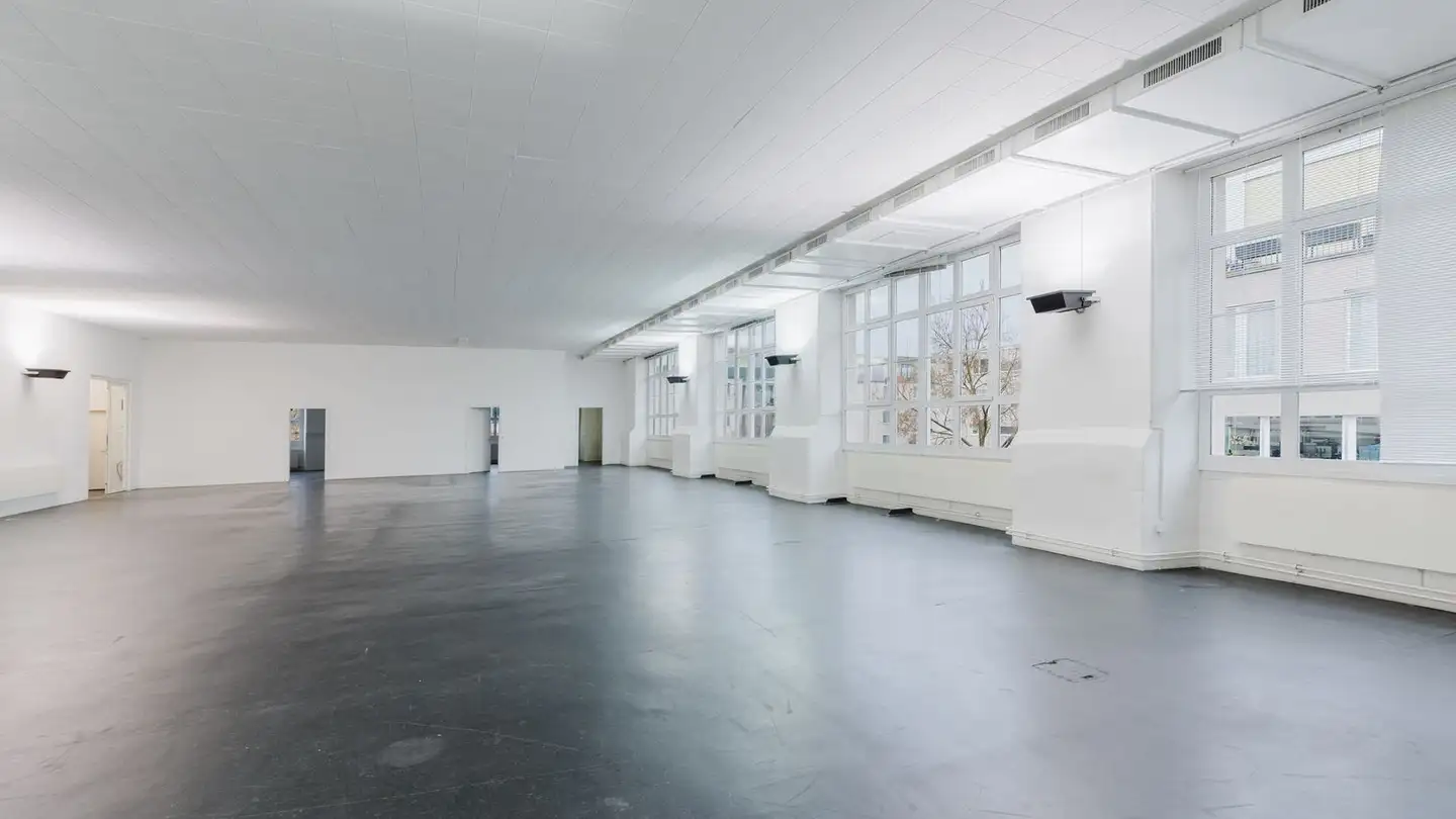 Commercial à louer - Alte Affolterstrasse 1, 8909 Zwillikon - Photo 3