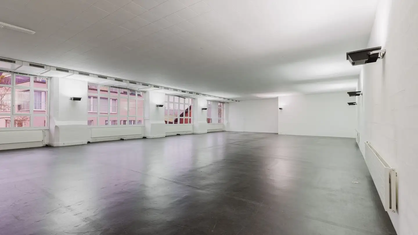 Commercial for rent - Alte Affolterstrasse 1, 8909 Zwillikon - Photo 2