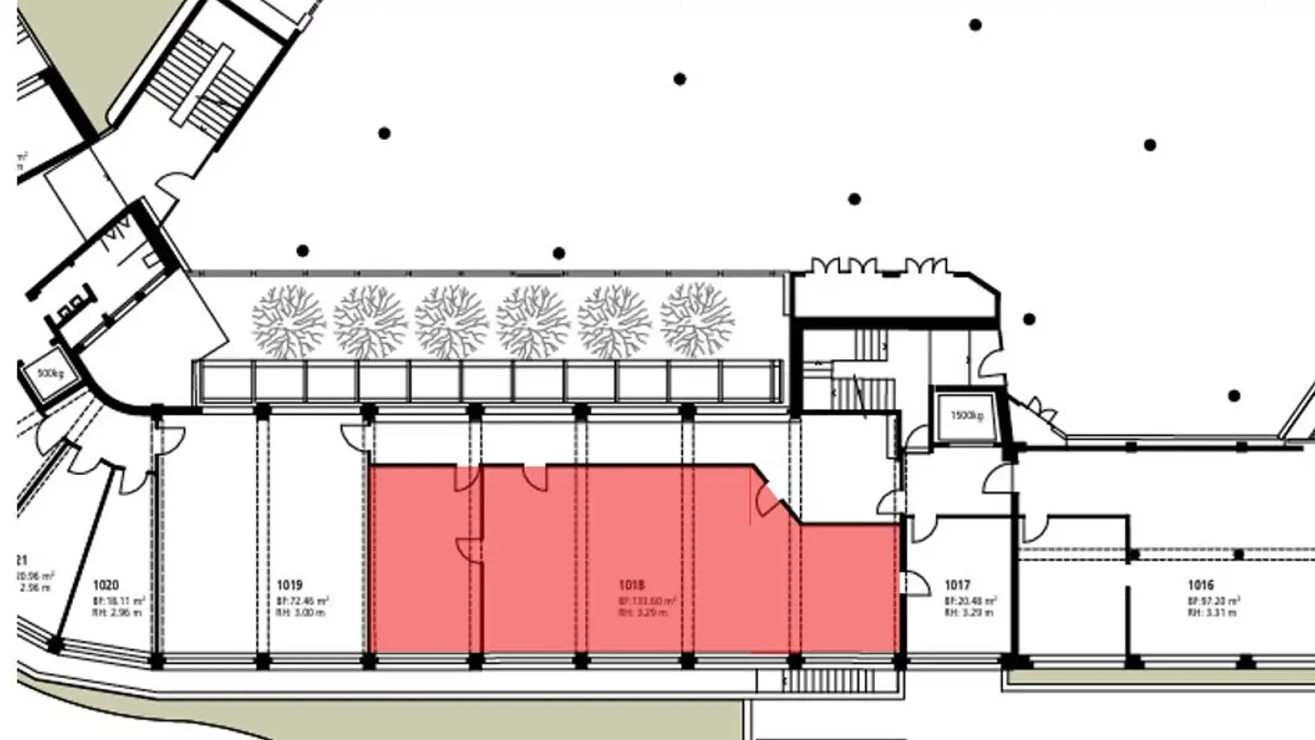 Commercial à louer - Weissensteinstrasse 81, 4500 Solothurn - Photo 3