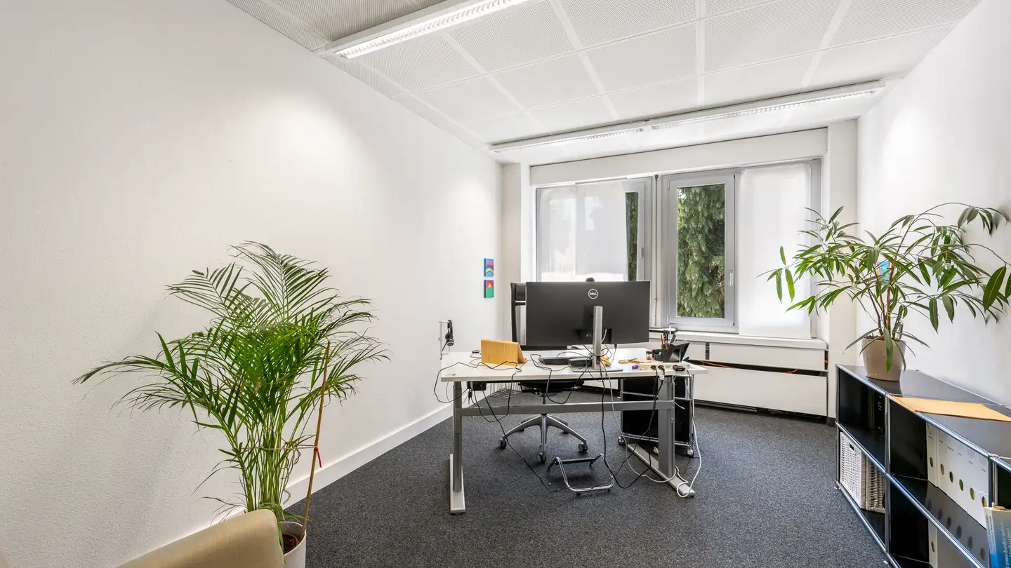 Bürofläche mieten - Schanzeneggstrasse 3, 8002 Zürich - Foto 3