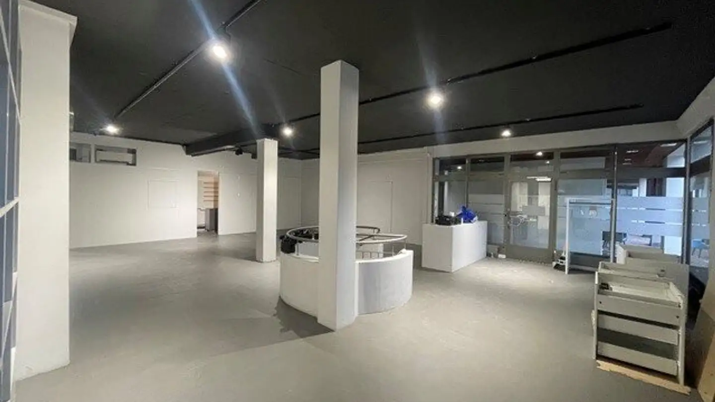 Geschäft mieten - Witikonerstrasse 397, 8053 Zürich - Foto 3