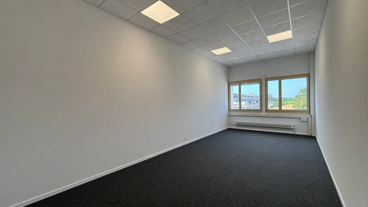 Spazio ufficio in affitto - Avenue Du Mont-Blanc 31, 1196 Gland - Foto 4