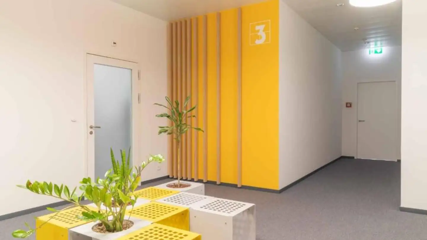 Spazio ufficio in affitto - Chemin Louis- Hubert 1, 1213 Petit-Lancy - Foto 4