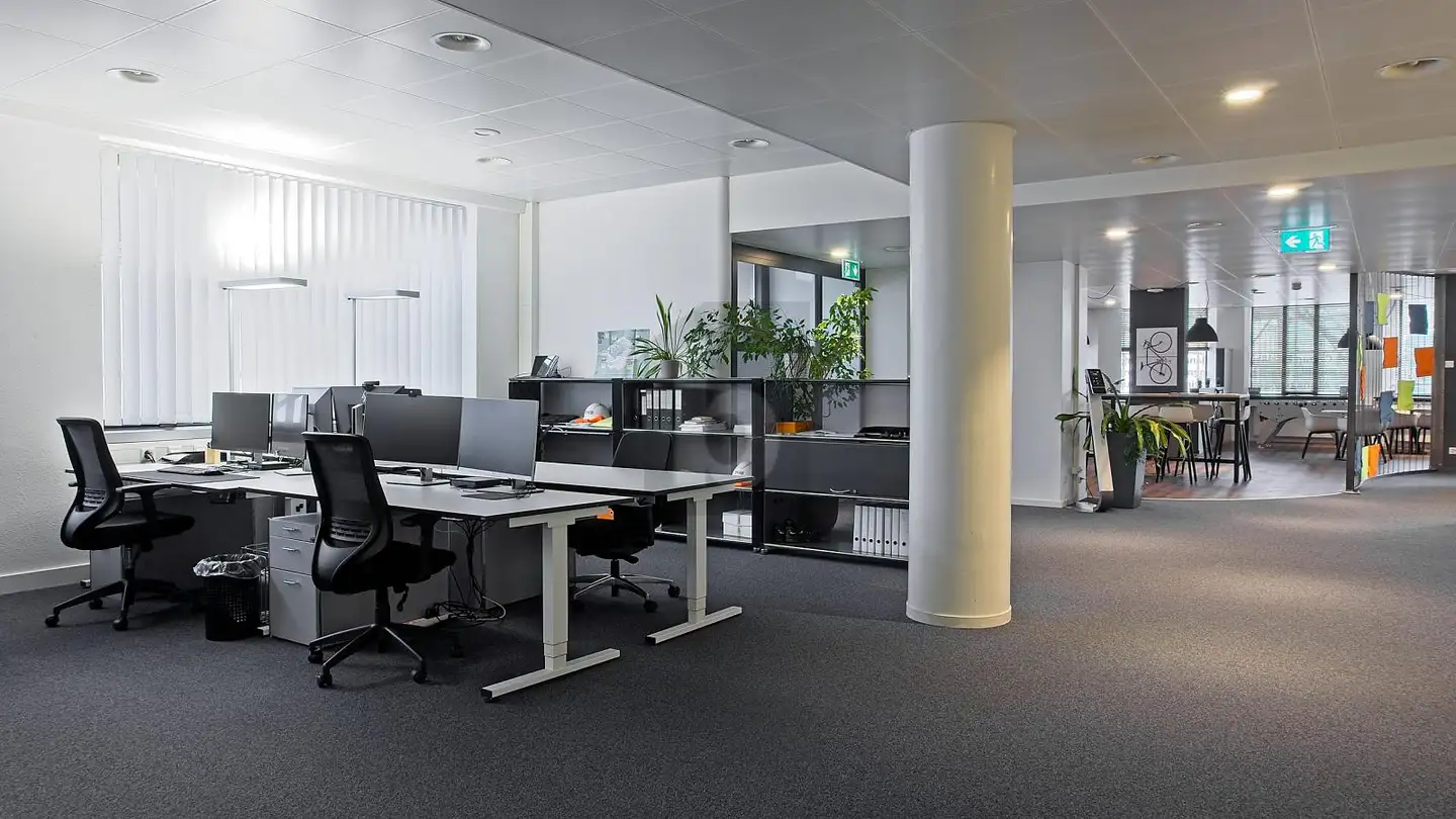 Office space for rent - 4051 Basel