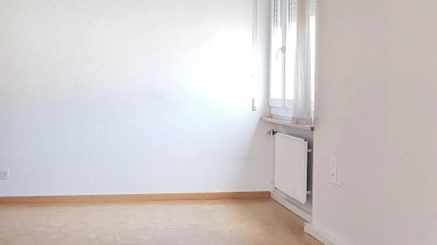 Commerciale in affitto - Rue De La Molière 19, 2800 Delémont - Foto 2