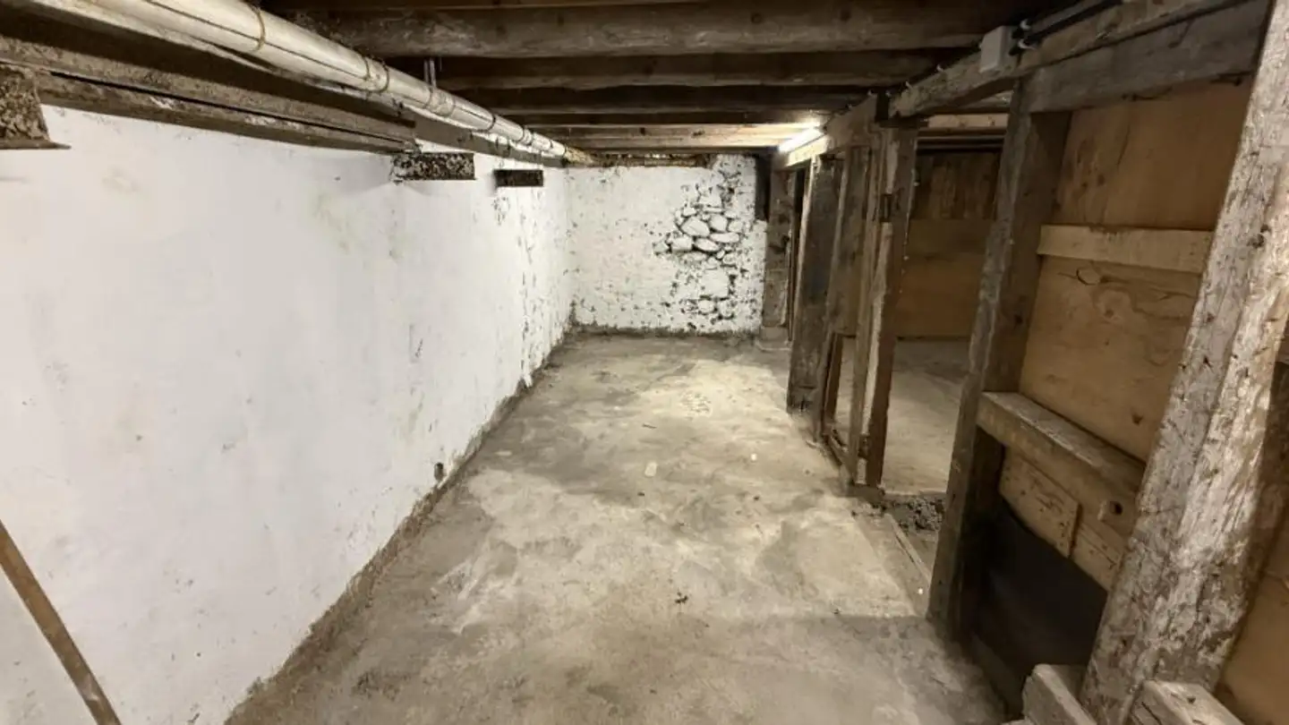 Gewerbe mieten - Route De Saint-Julien 21, 1227 Carouge GE