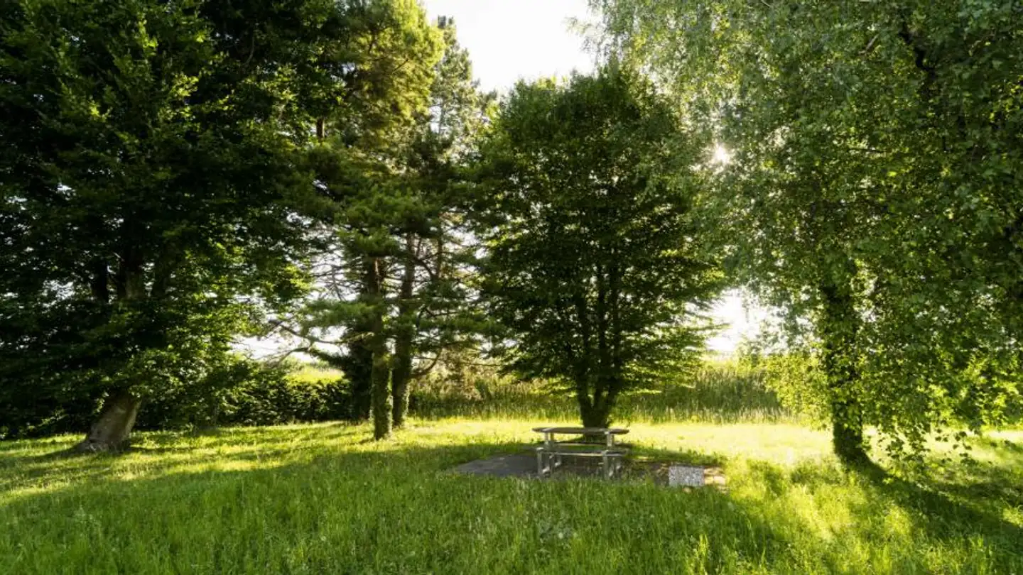 Commerciale in affitto - Le Bey 24, 1442 Montagny-près-Yverdon - Foto 4