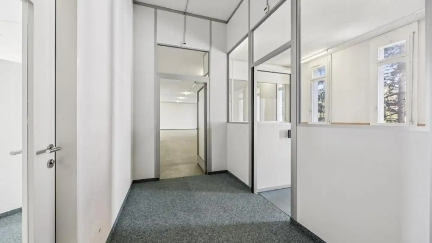 Gewerbe mieten - Ländernachstrasse 9, 9435 Heerbrugg - Foto 3