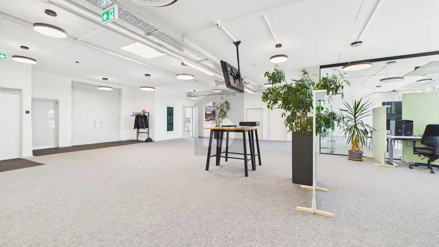 Office space for rent - 4600 Olten - Photo 2