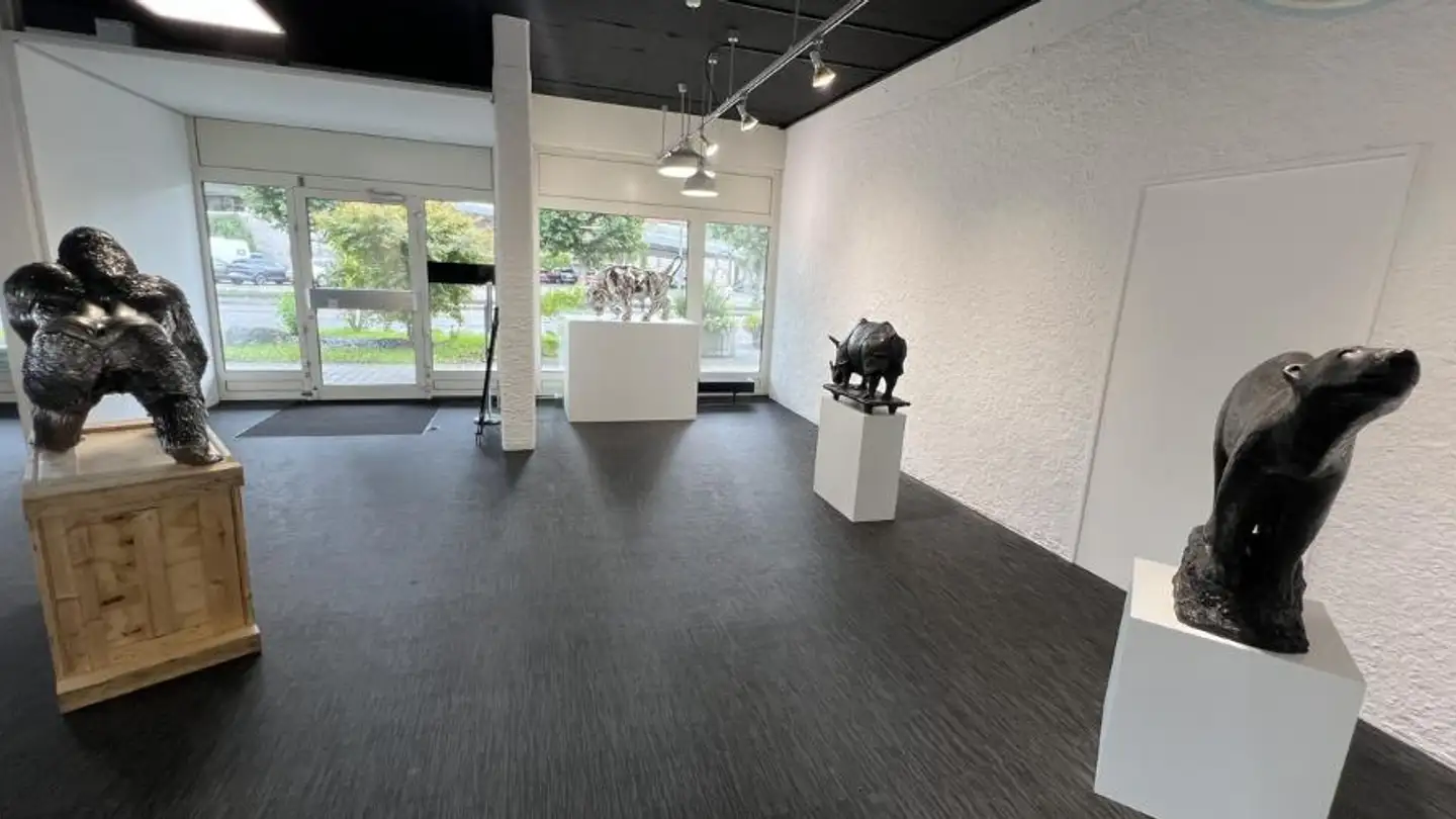 Gewerbe mieten - Rue Du Jura 11, 2900 Porrentruy - Foto 2