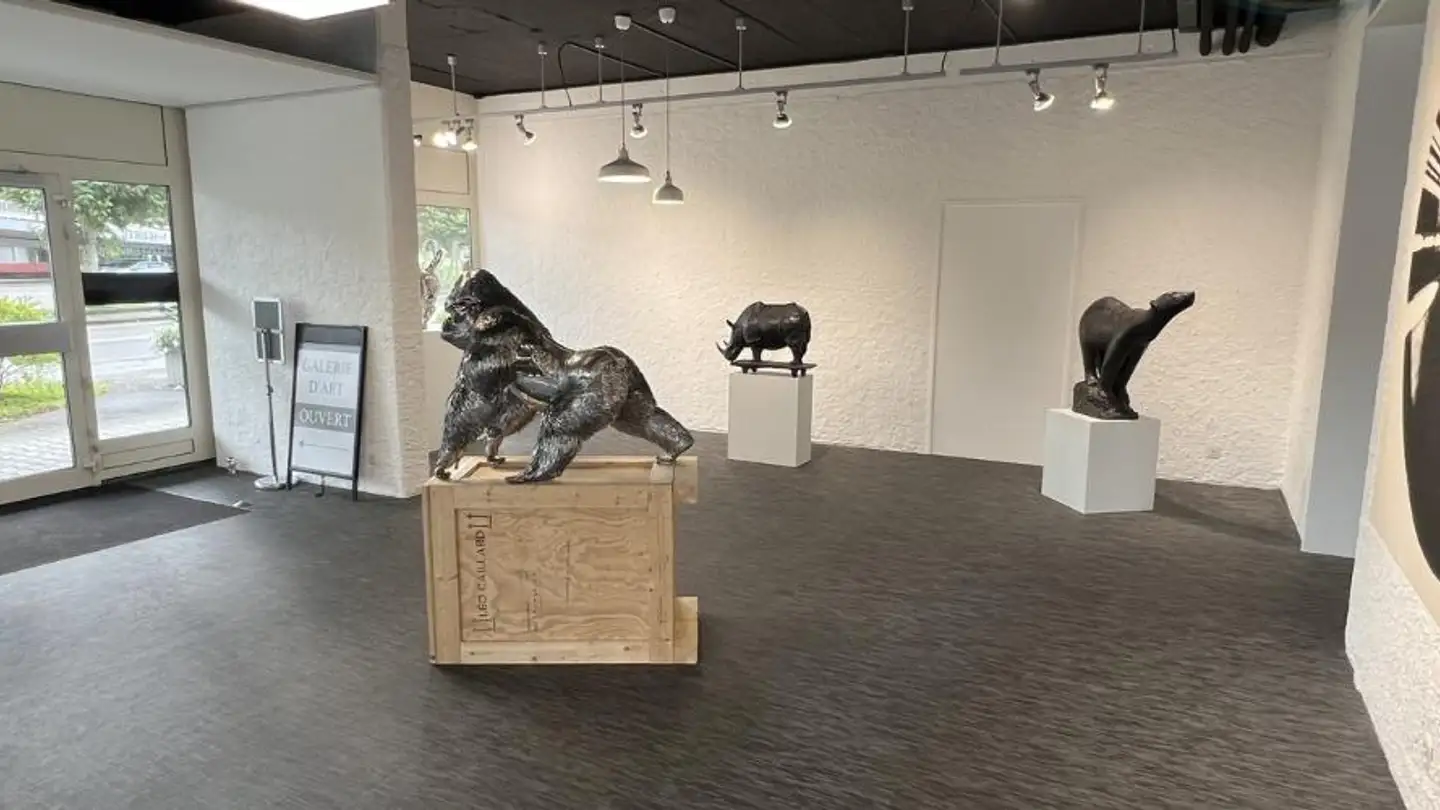 Gewerbe mieten - Rue Du Jura 11, 2900 Porrentruy