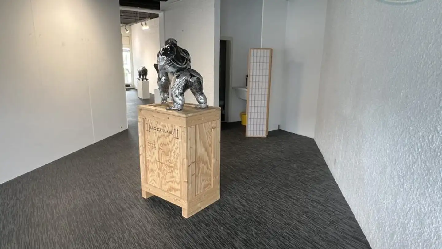 Gewerbe mieten - Rue Du Jura 11, 2900 Porrentruy - Foto 3