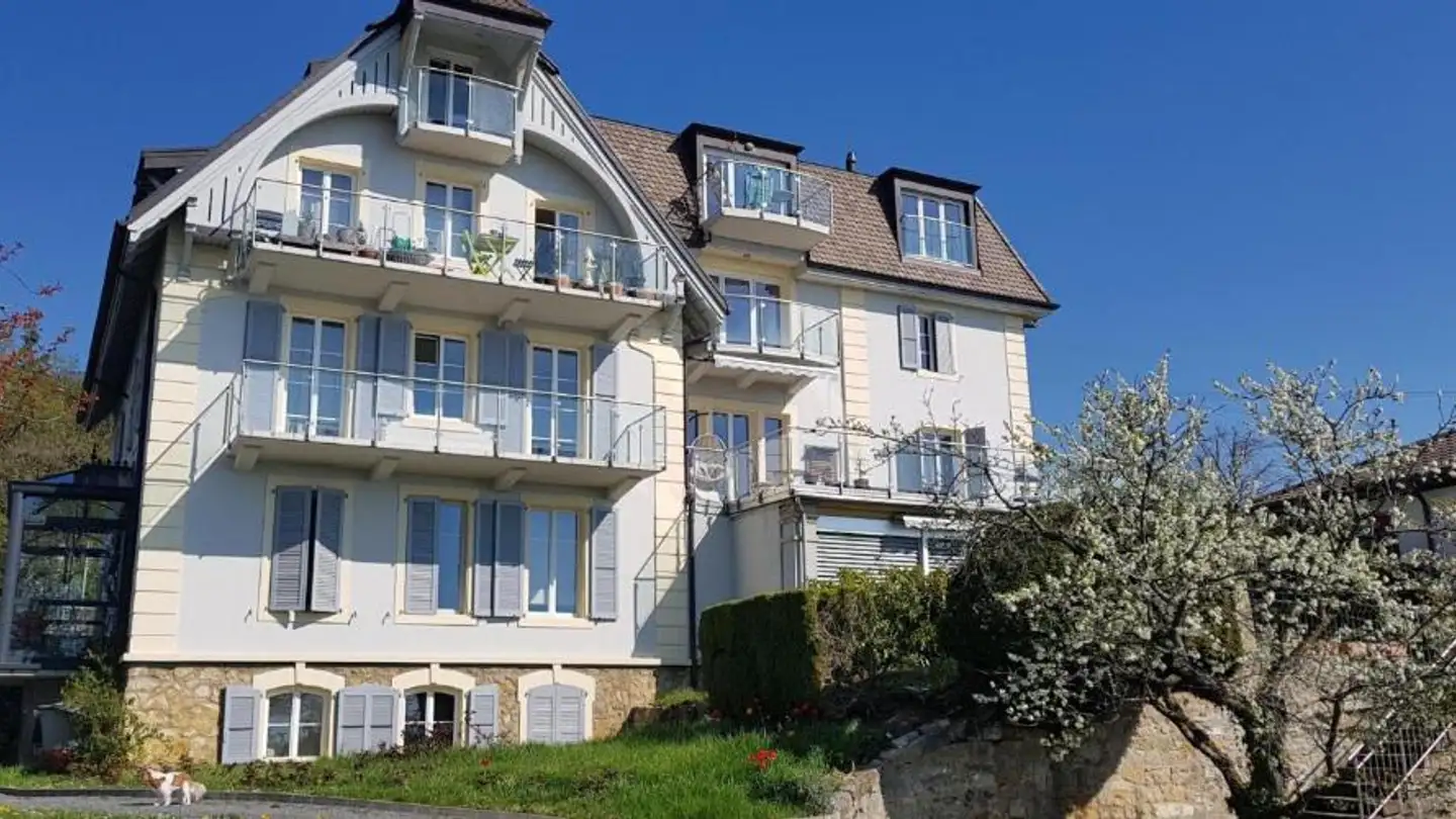 Commercial for rent - Avenue Du Mail 18, 2000 Neuchâtel