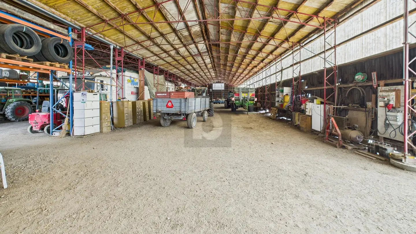 Commerciale in affitto - 3123 Belp