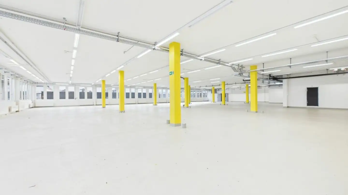 Gewerbe mieten - Riedstrasse 8, 6330 Cham - Foto 3