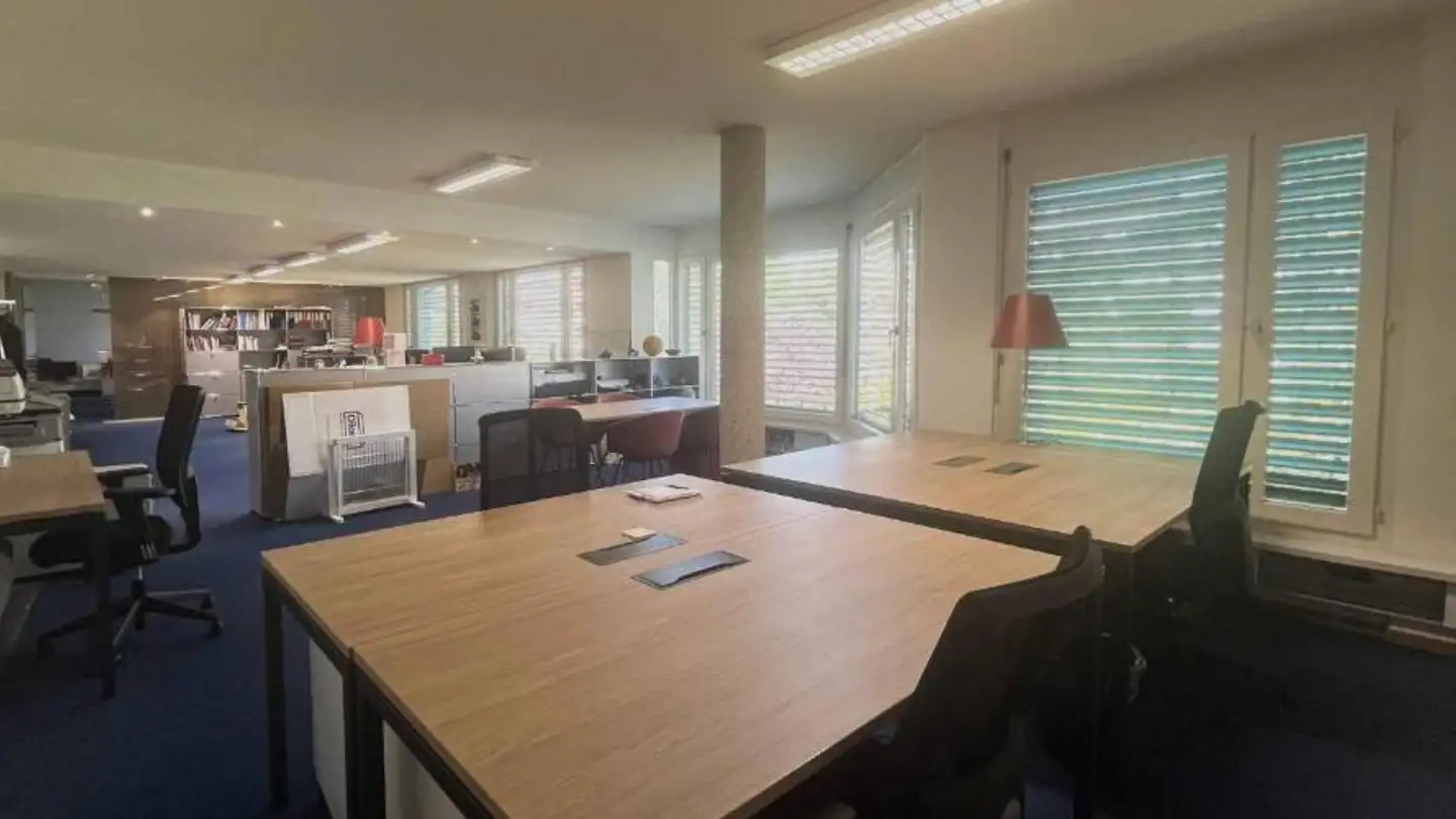 Office space for rent - Rue Des Caroubiers 21, 1227 Carouge GE - Photo 2