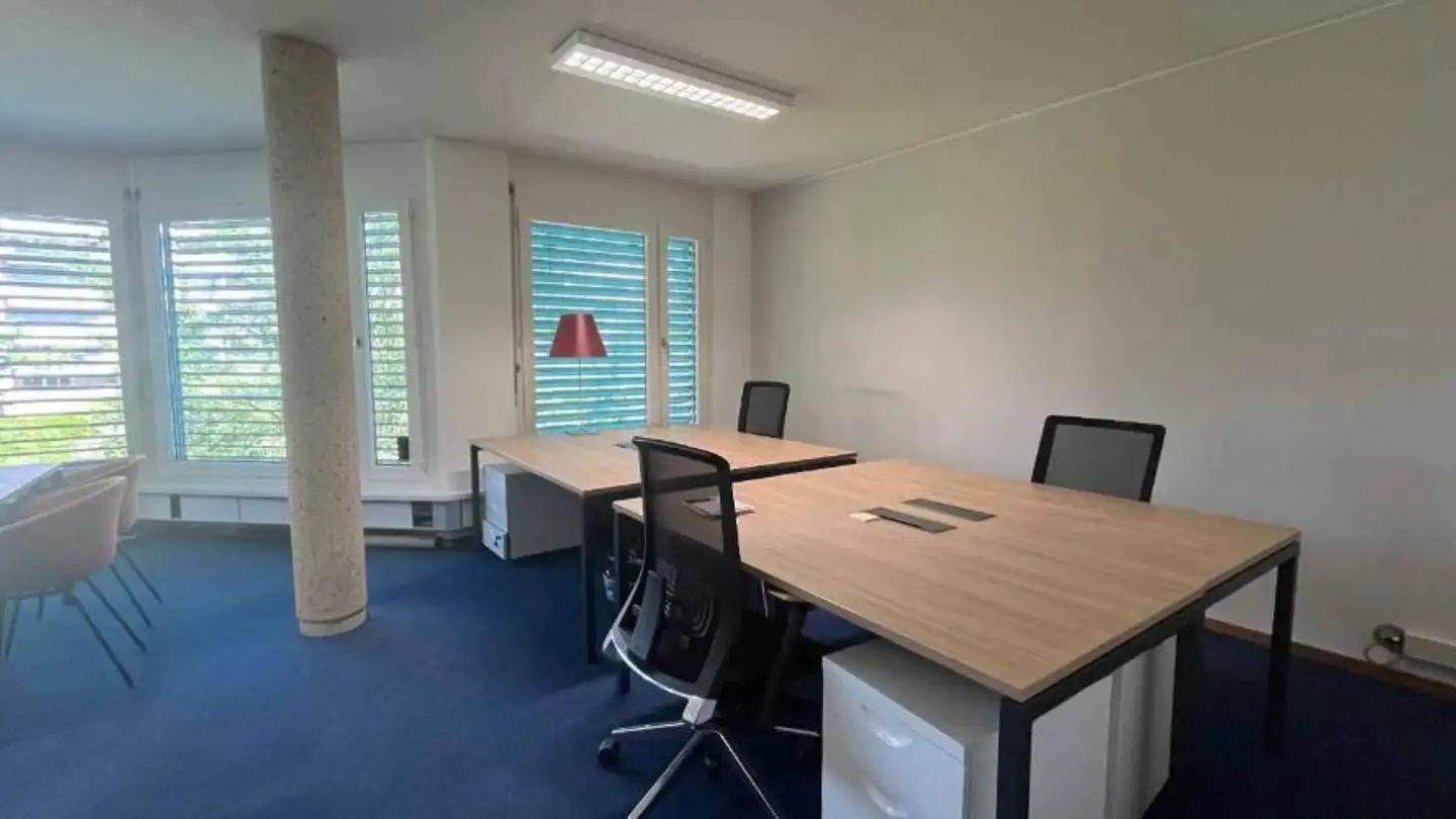 Office space for rent - Rue Des Caroubiers 21, 1227 Carouge GE - Photo 4