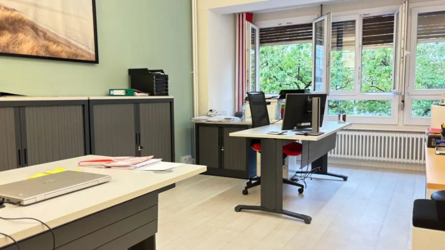Office space for rent - Rue Voltaire 16, 1201 Genève - Photo 4