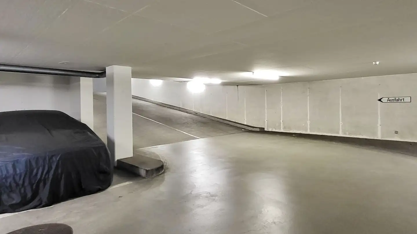 Espace de stockage à louer - 4153 Reinach BL - Photo 3
